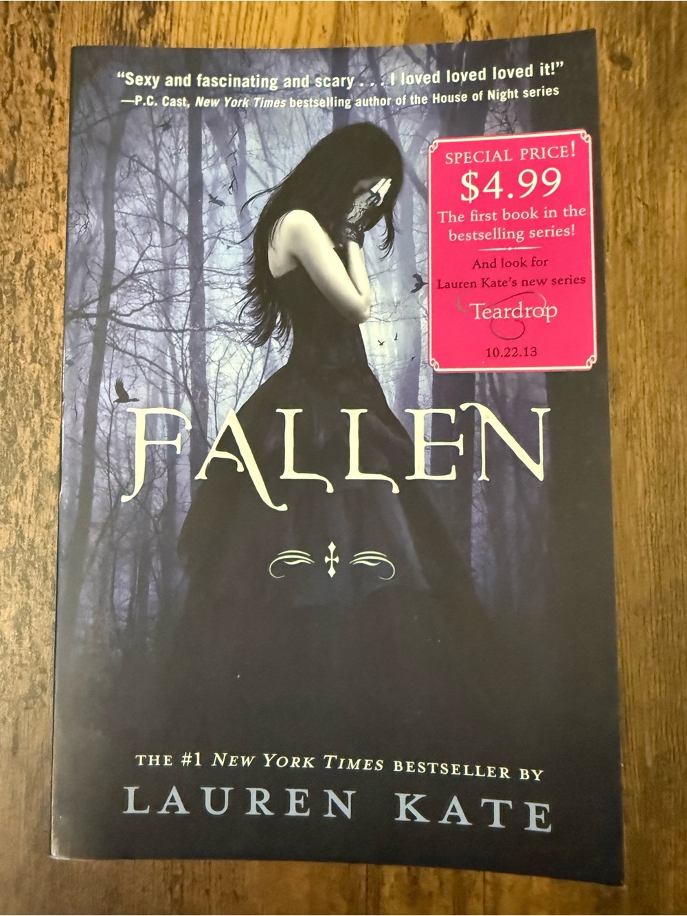 📚3 for $12📚 Fallen by Lauren Kate - Black & Gray Paperback Novel